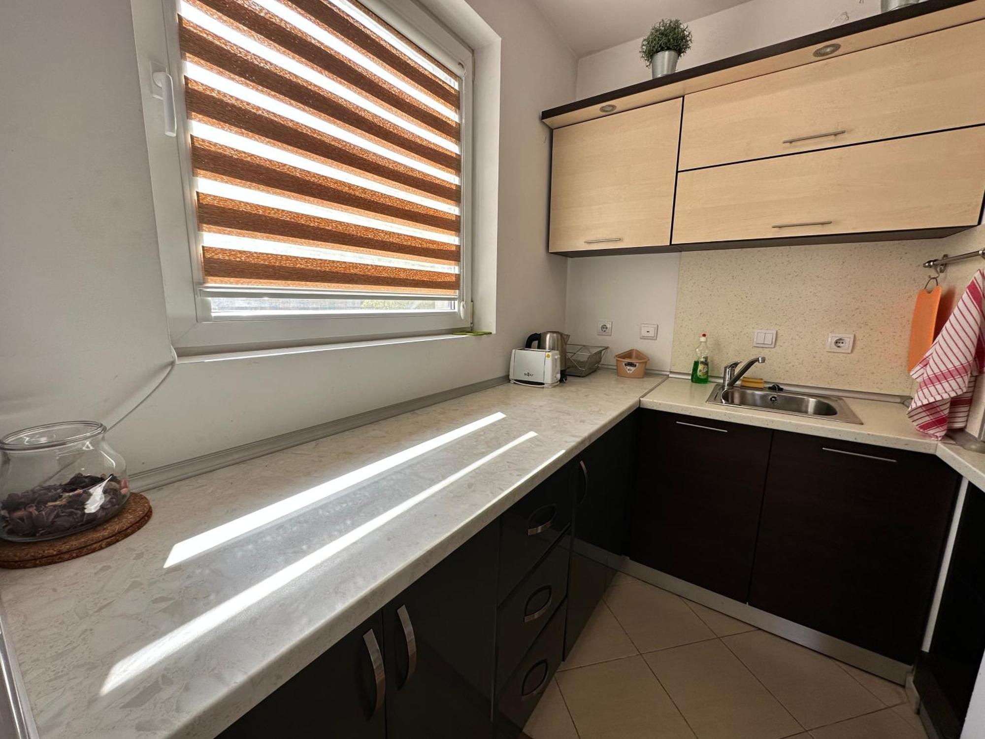 White Wood Lodge Bansko Zewnętrze zdjęcie